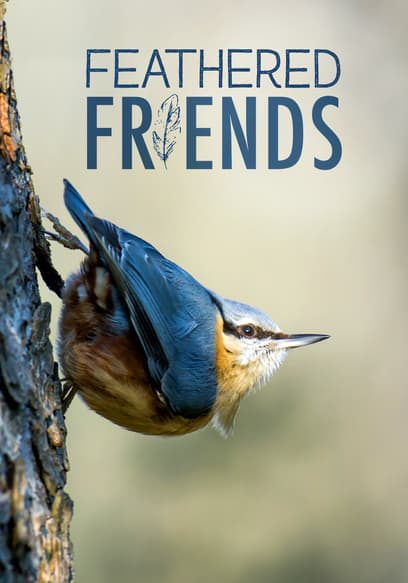 S01:E01 - Feathered Friends
