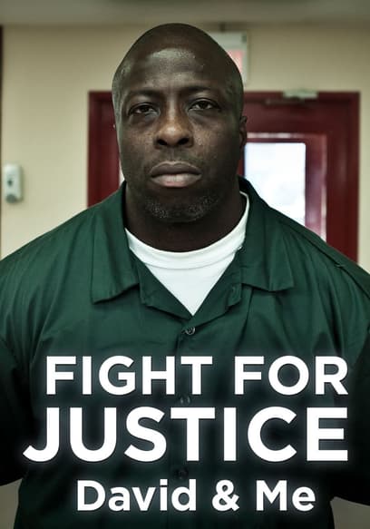 Fight for Justice: David & Me poster