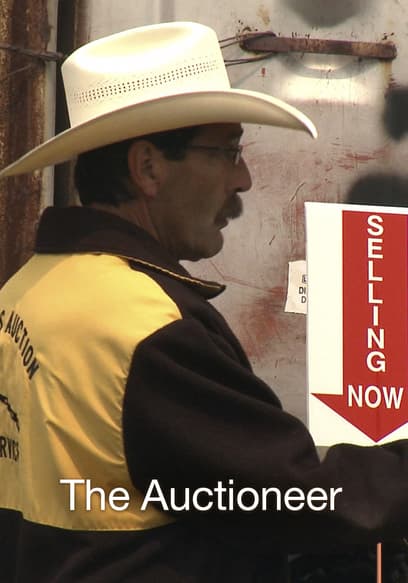 The Auctioner
