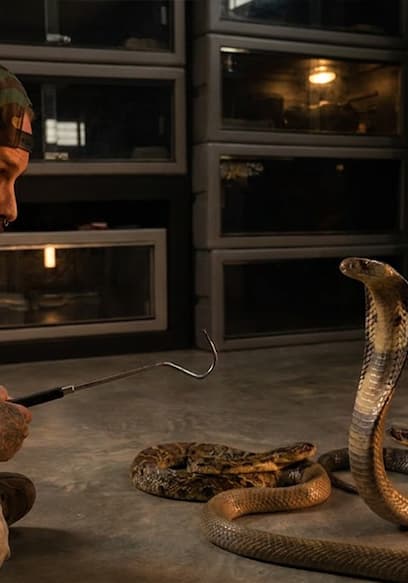 S01:E06 - Planet's Deadliest Serpents poster