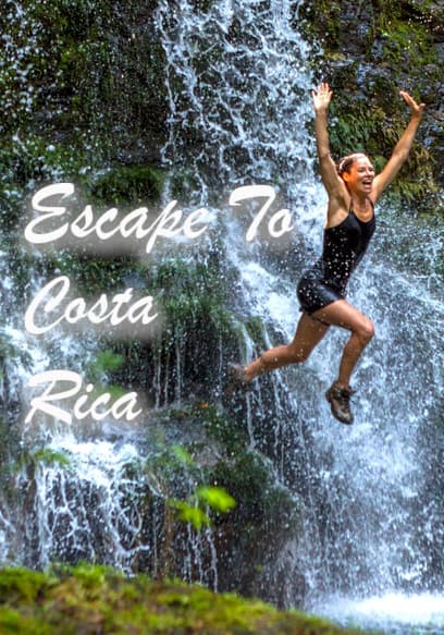 S01:E01 - Capture a Crocodile