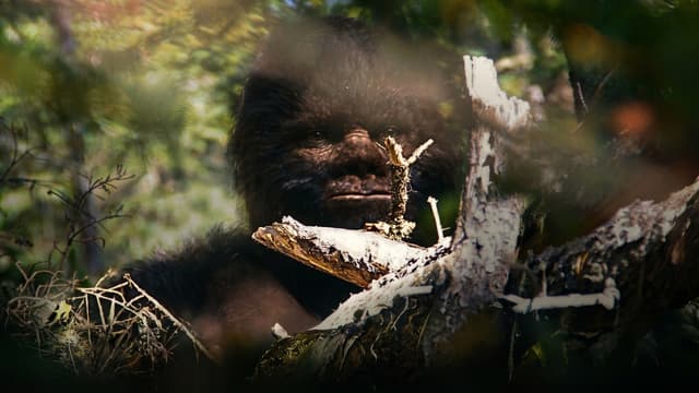 S01:E10 - Ultimate Bigfoot Footage