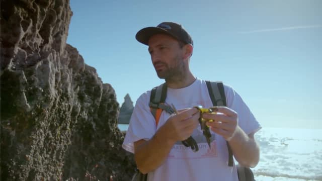 S01:E05 - The Welsh Coast