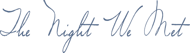 The Night We Met