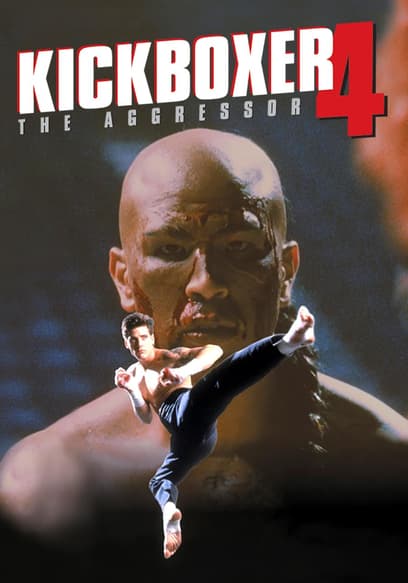 Kickboxer 4: The Aggressor