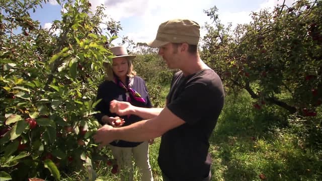 S01:E11 - The Blue Mountains of NSW - Enchanting Food