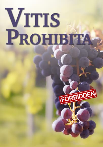 Vitis Prohibita poster
