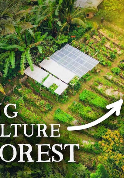S01:E05 - The Secret Food Forest That's a Masterclass in Abundance poster