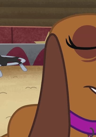 S01:E10 - Dog on a Wire poster