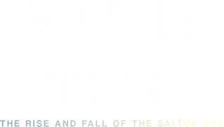 Miracle in the Desert