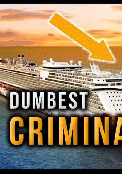 Affiche de S01:E14 - Dumbest World Criminals