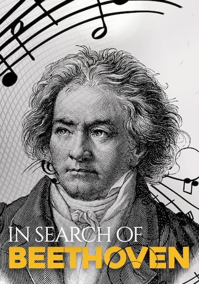 In Search of Beethoven