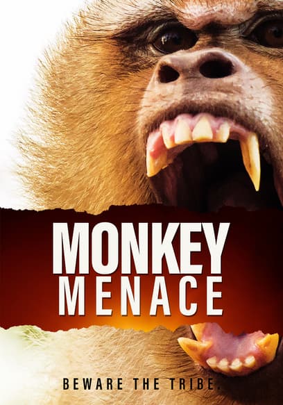 Monkey Menace