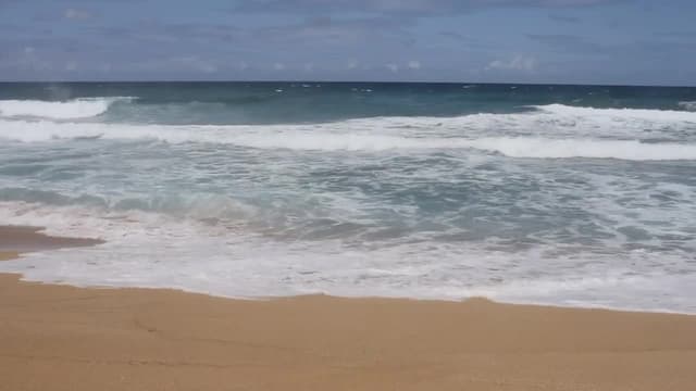 S01:E02 - Beach Wash