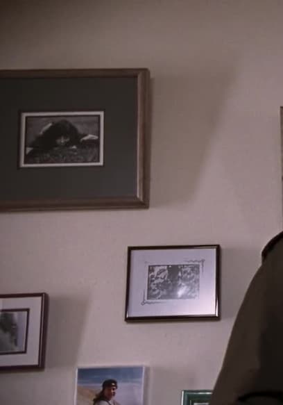 S04:E13 - I've Got a Secret poster