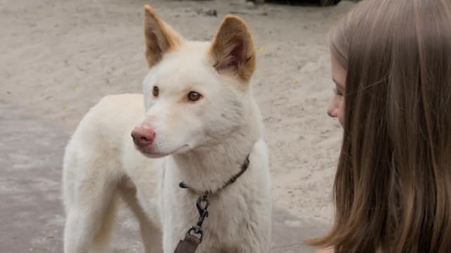 S01:E11 - Swimming with Manta Rays