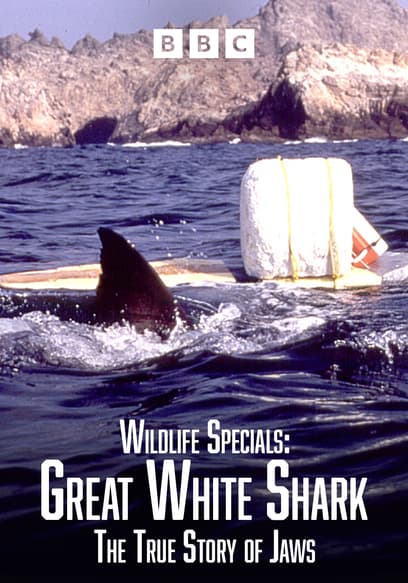 Wildlife Specials: Great White Shark - the True Story of Jaws