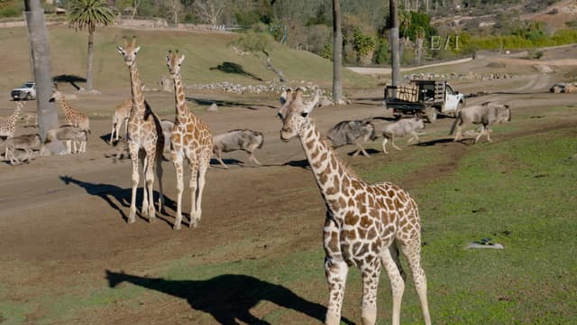 S01:E02 - Episodio 2