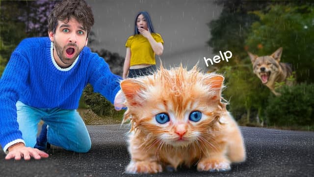 S01:E07 - Kitten Rescued From Coyote