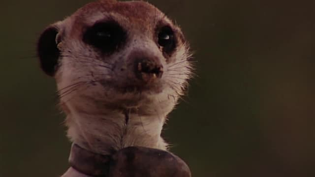 S02:E12 - Episode 12