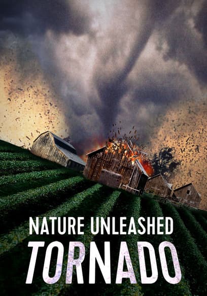 Nature Unleashed: Tornado