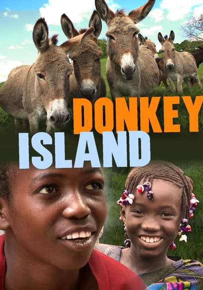 Donkey Island poster