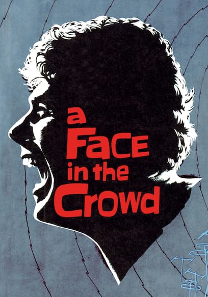 A Face in the Crowd