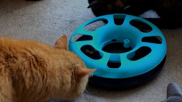 S01:E70 - Episode 70