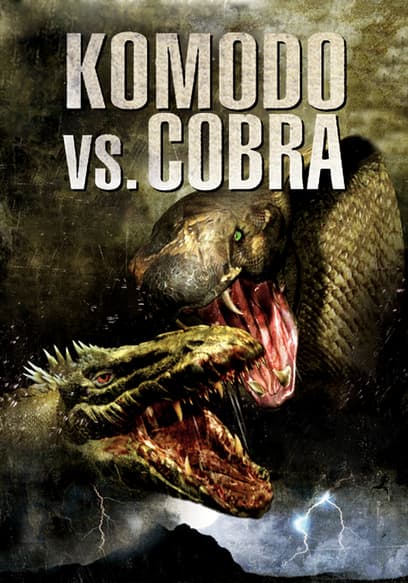 Komodo vs. Cobra