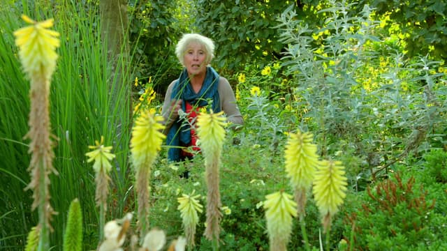 S09:E16 - Episode 16