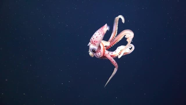S02:E06 - The Deep