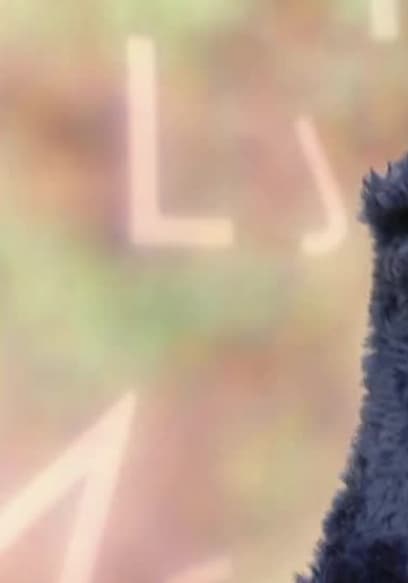 S36:E10 - Big Bird, Snuffy, and Friends Hike poster