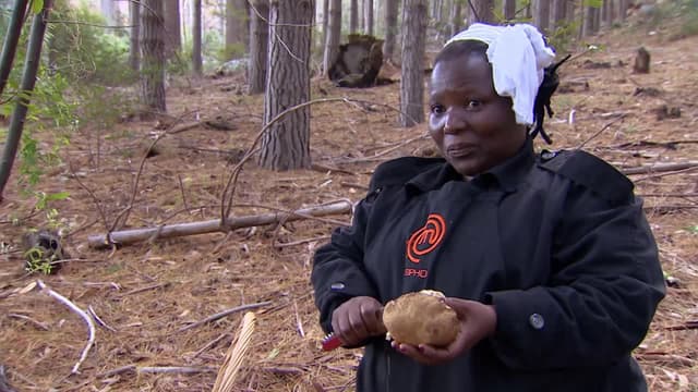 S03:E15 - Episode 15