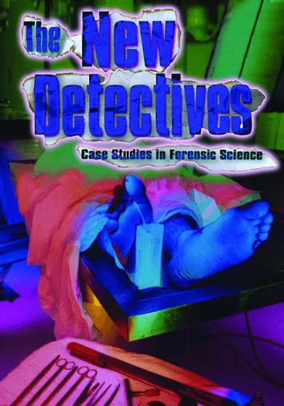 The New Detectives