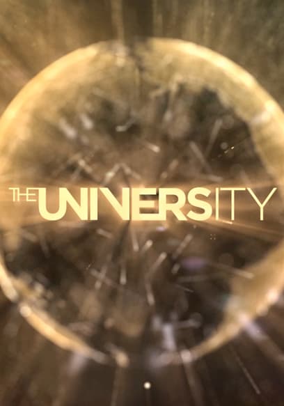 The University