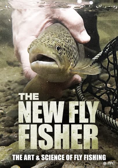 The New Fly Fisher
