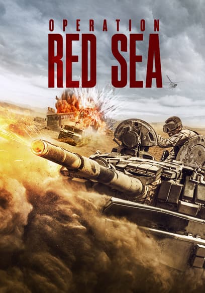 Operation Red Sea