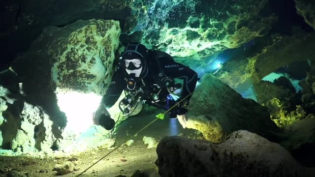 S05:E03 - Tiger Shark as a Camera Operator + Florida Cave Diving