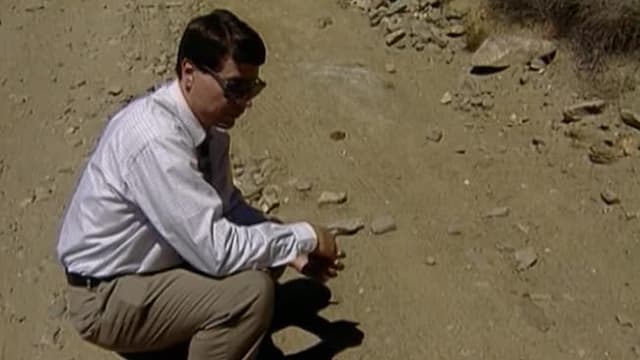 S01:E08 - Pistas de insectos