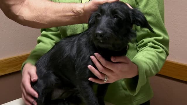 S01:E10 - Holiday Miracles