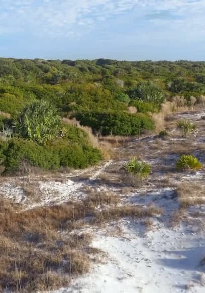 Póster de S01:E01 - Cumberland Island
