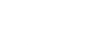 The King's Avatar: For the Glory (Subtitled)