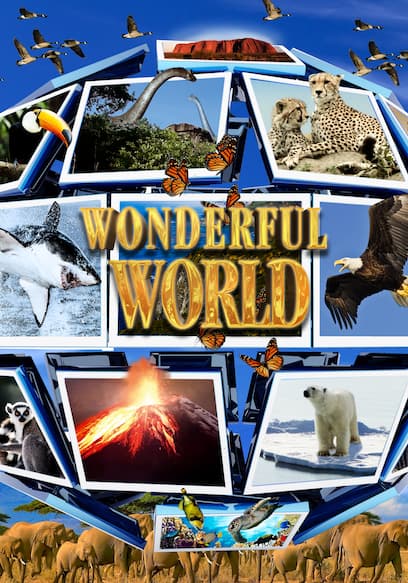 Wonderful World