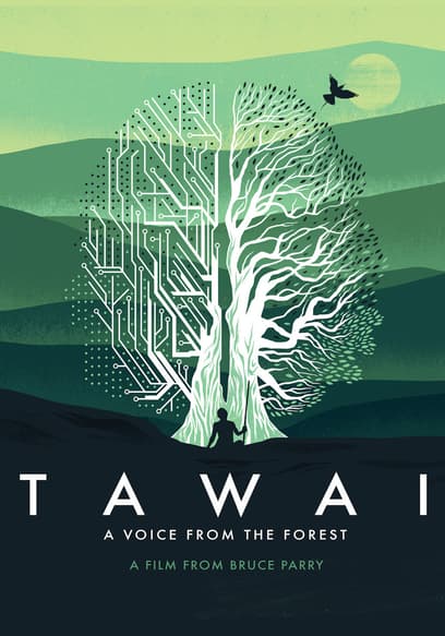 Tawai: A Voice from the Forest