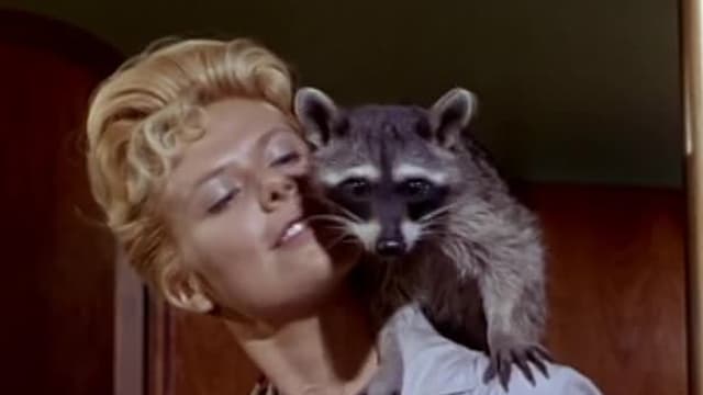 S01:E05 - The Pride of the Bottom of the Barrel