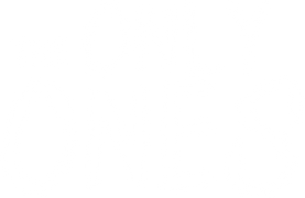 The Only Ones