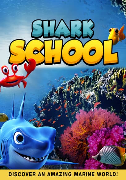 Shark School