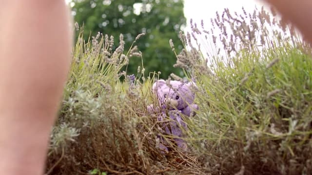 S01:E09 - Deep in the Forest