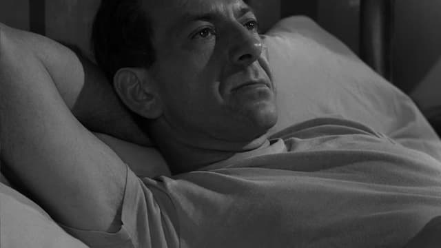 S05:E01 - In Praise of Pip