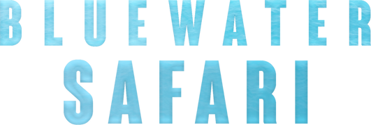 Bluewater Safari